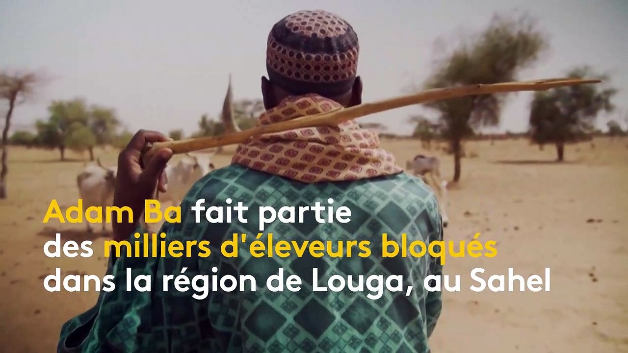 Sénégal : les éleveurs peuls durement touchés par les mesures sanitaires