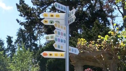 Save Welsh Mountain Zoo!