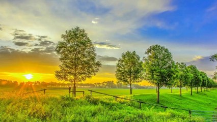 15 Minutes Nature Mind Relaxing Music, Sleep Music,A Village Nature