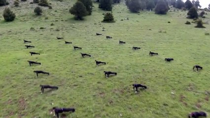 TSK merak edilen görüntüleri yayınladı