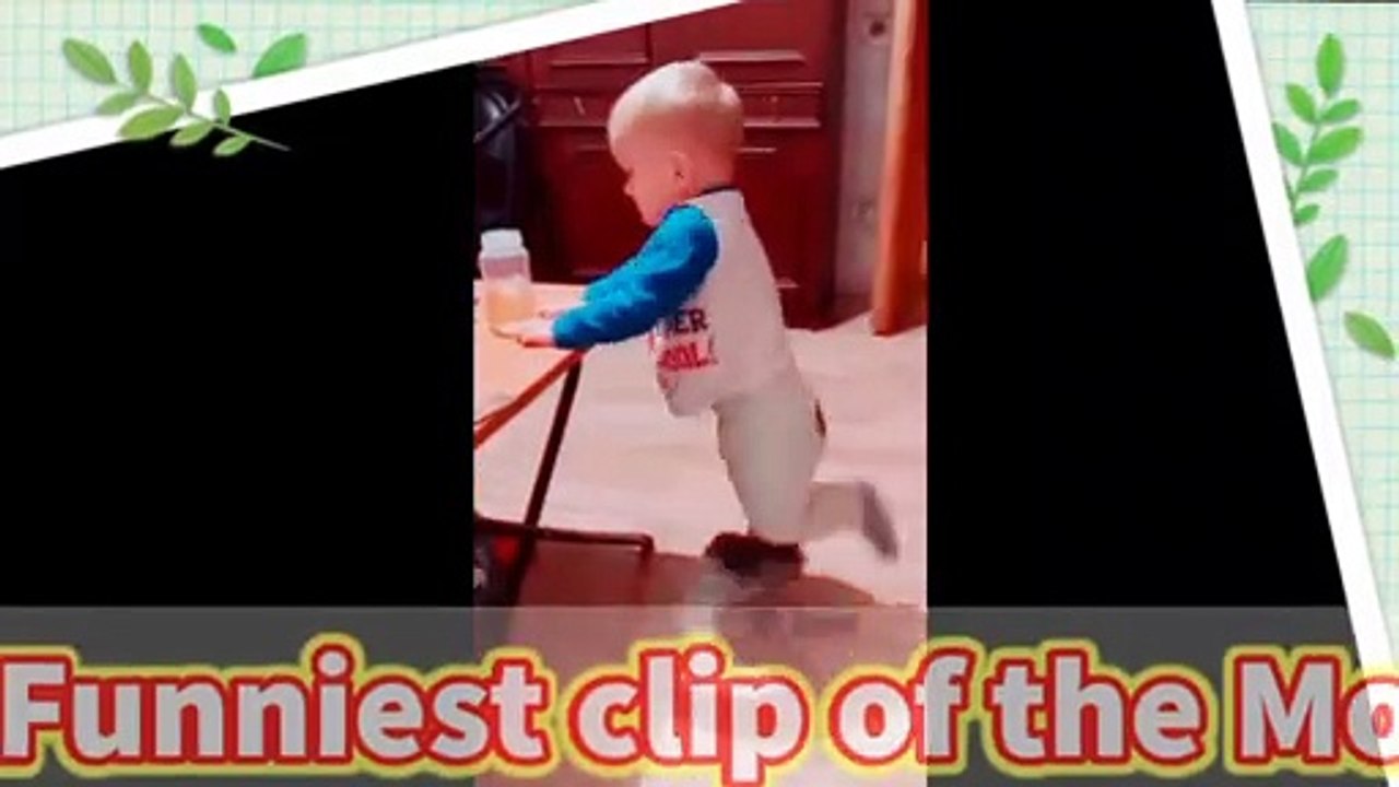 Cat & kid compiltaion