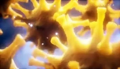 Hydroxychloroquine, what it is, and what it does to your body