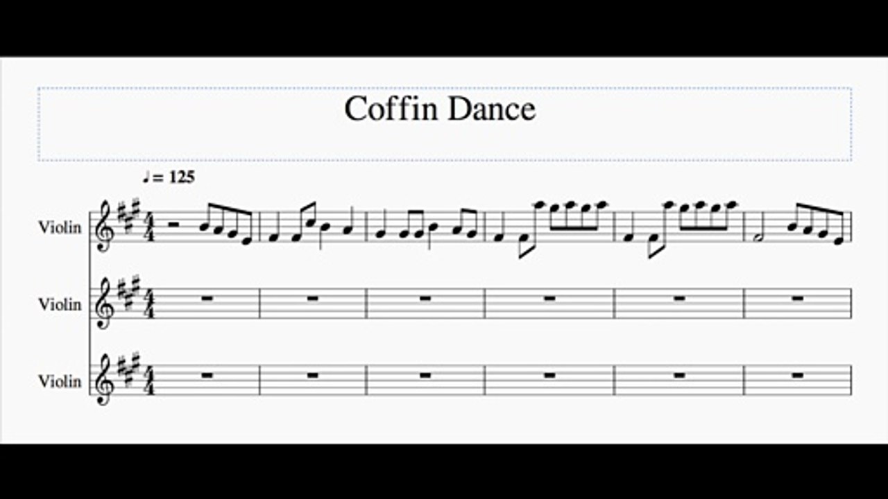 Coffin Dance (Violin Cover)