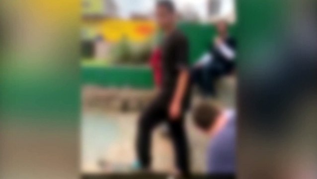 Delegacia especializada identifica autor de maus-tratos e afirma que medidas cabíveis serão tomadas