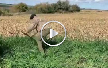 ¡Esta es la nueva vida de Cavani! Trabajando “abdominales oblicuos"