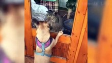 Funniest  Dogs and  Cats - Awesome Funny Pet Animals Videos