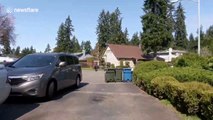 Genius Seattle man uses drone to get himself Starbucks amid COVID-19 lockdown