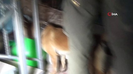 Bursa’da Dron destekli 2 bin 500 polisle şehit Erman Özcan operasyonu