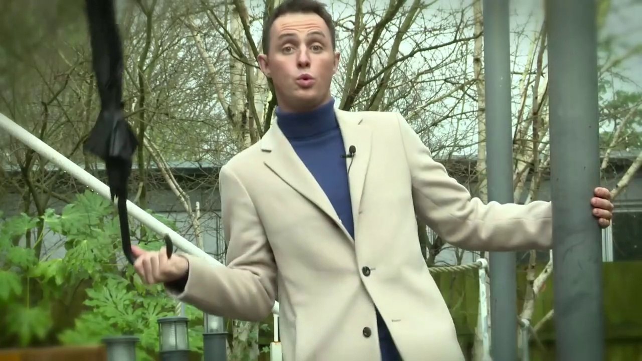 Meet the Nightingales - James Nightingale