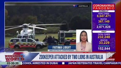 Zookeeper attacked by two lions in Australia