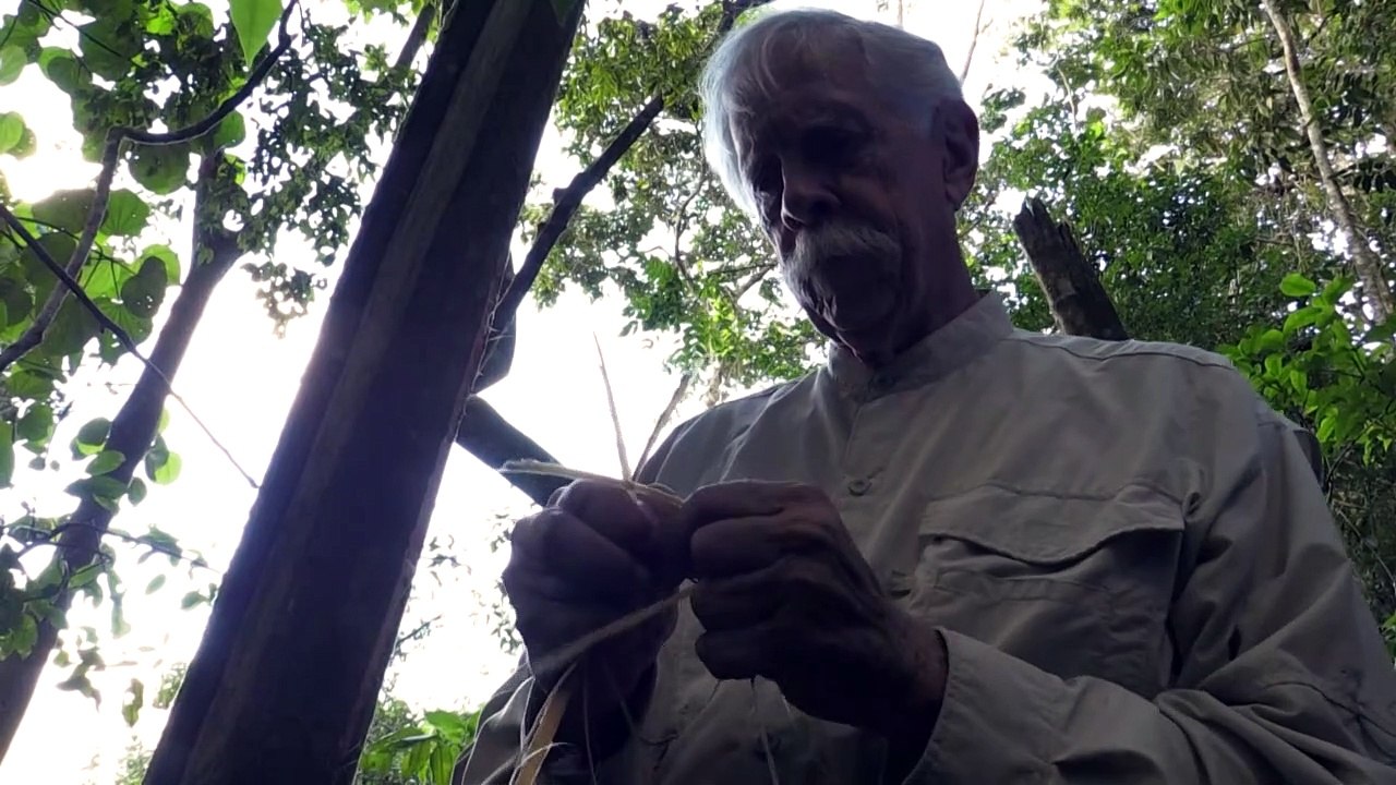 Charles Brewer – der 'Humboldt des 20. Jahrhunderts'