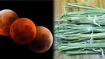 Lunar Eclipse 2020: चंद्र ग्रहण के बुरे प्रभावों का असर इस तरह करें खत्म।Chandra Grahan 2020।Boldsky