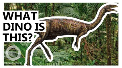 A Rare Dino Related to T-Rexes Has Been Discovered in Australia