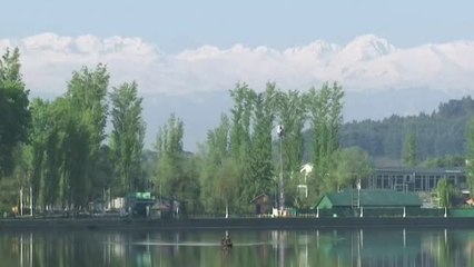 Día Mundial del Medioambiente