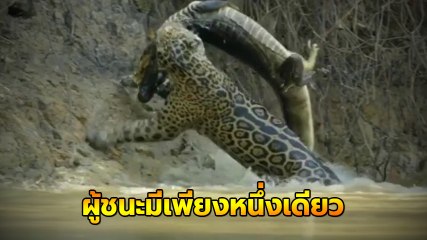 พี่ลีโอ เห็นเพื่อนจมน้ำ กระโจนลงไปช่วย แหม.. มีน้ำใจจริง ๆ !!