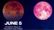 Strawberry Full Moon Lunar Eclipse On June 5th, How & When To Watch Tonight
