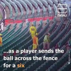 AUS vs NZ Cricket match ball lost the gallery player searching ball empty Stadium