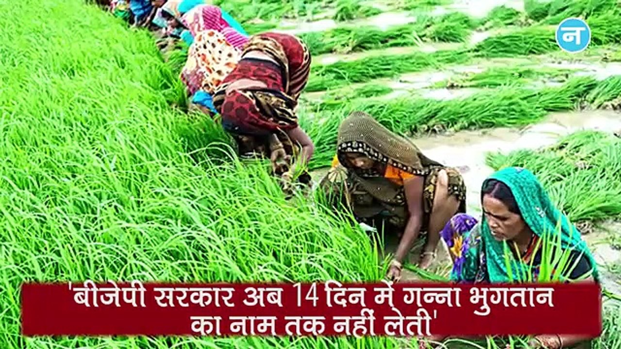 यूपी में Farmer की खुदकुशी को लेकर Priyanka का योगी सरकार पर हमला और देश में Corona का कहर जारी