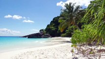 Video of Tropical Beach - Ocean Sounds