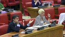 Nueva bronca en el Congreso: una diputada de ERC acude a la Comisión de Reconstrucción con una pegatina contra Vox