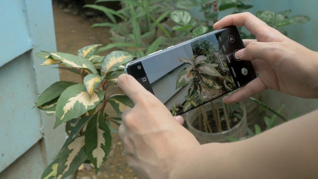 Professional Filmmaking Techniques You Can Try At Home