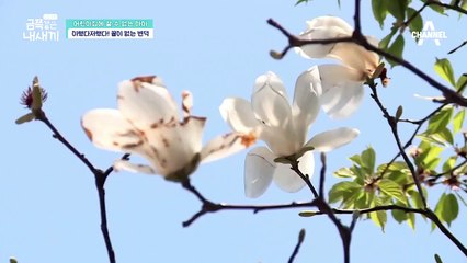"아빠랑? 아니! 엄마랑?" 끝이 없는 금쪽이의 변덕에 지쳐가는 부모님