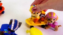 Paw Patrol Pups Ride SkateBoards Races and Do Tricks Then Play Hide and Seek!