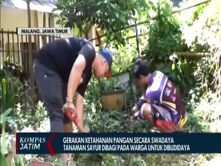 Pemuda Ajari Tanam Sayur