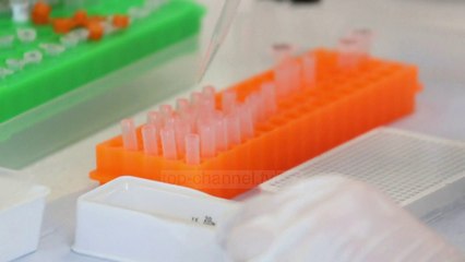 Top News - Vaksina kundër Covid/ Kompania fillon prodhimin tani