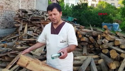 Çam odununun içinden 43 yıl sonra çıkan mektup duygulandırdı