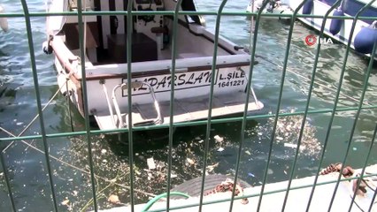 Beyoğlu Belediye Başkanı Yıldız Dünya Çevre Günü’nde Haliç’e daldı