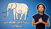 யானை ரொம்ப பாவம்| KERALA ELEPHANT DEATH INCIDENT| ONE INDIA TAMIL