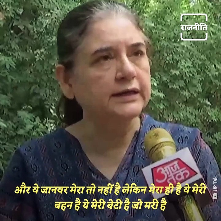 Maneka Gandhi Drags Rahul Gandhi Into The Elephant Issue Without Any Reason