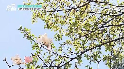 다시 한번 외식에 도전하는 금쪽이 가족! 달라진 금쪽이의 행동?!