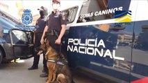 Detenido en Madrid un presunto yihadista con gran cantidad de material terrorista