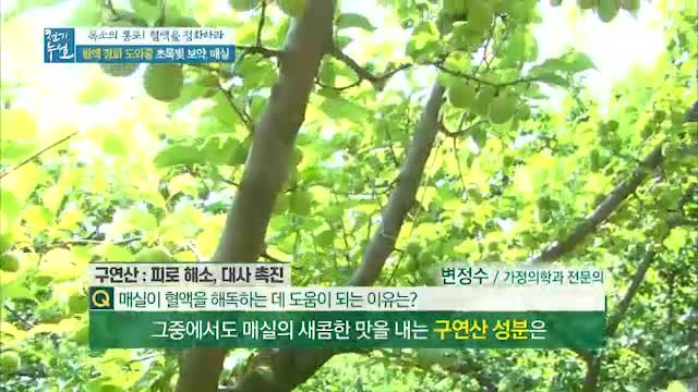 혈액 속 독소 제거 ♥매실♥