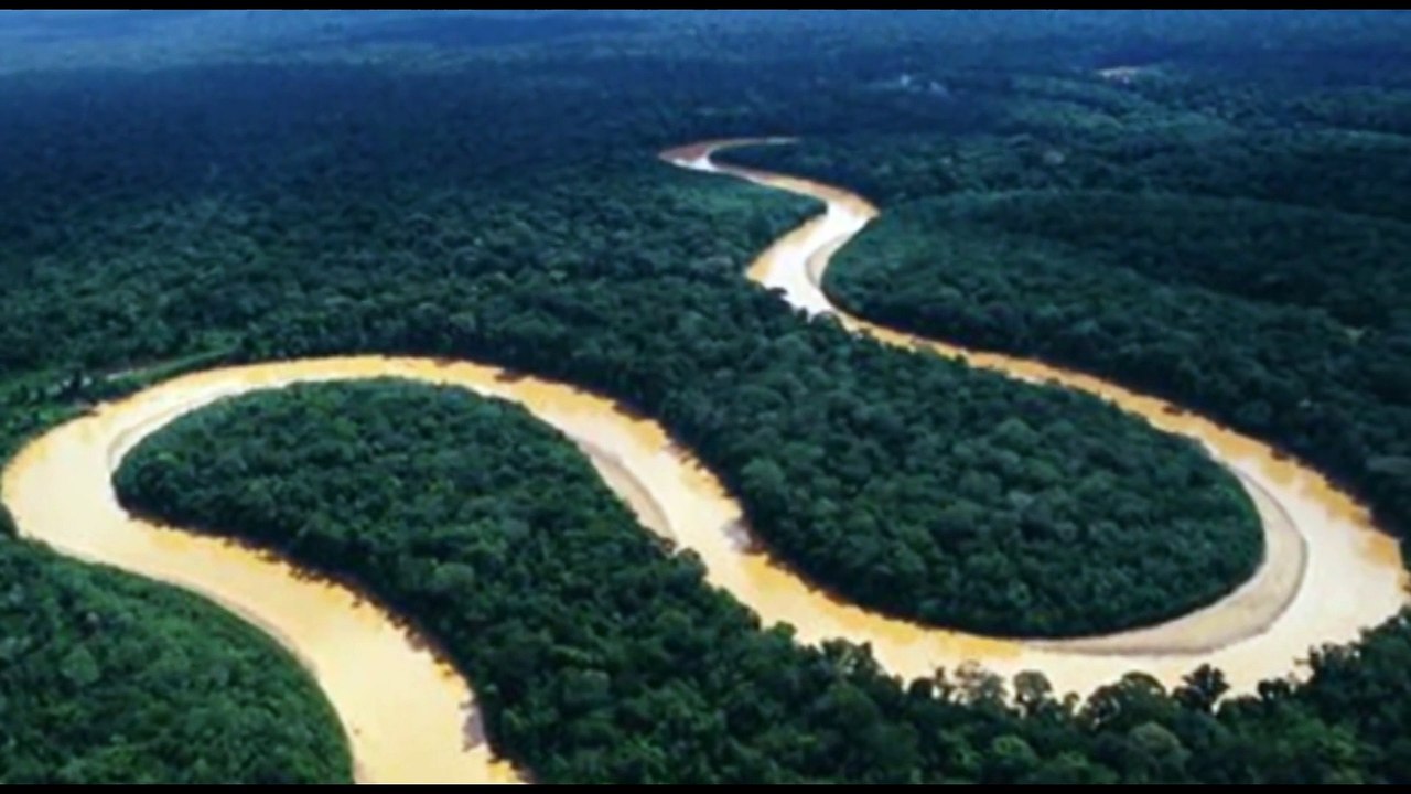 No Dia Mundial do Meio Ambiente, Bióloga reforça a importância de ações individuais