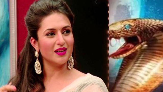 Naagin 5 को लेकर Divyanka Tripathi ने तोड़ी चुप्पी, Ekta Kapoor के शो को लेकर बड़ी बात | FilmiBeat
