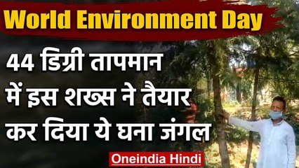 World Environment Day: 44 डिग्री गर्म तापमान में तैयार कर दिया देवदार का जंगल | वनइंडिया हिंदी