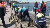 İstanbul Boğazı temizlendi: Motosiklet bile çıktı!