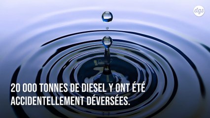 Vladimir Poutine déclare l'état d'urgence : 20 000 tonnes de diesel déversées dans la nature