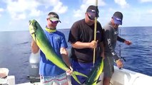 BIG MAHI Fishing in the ISLANDS!