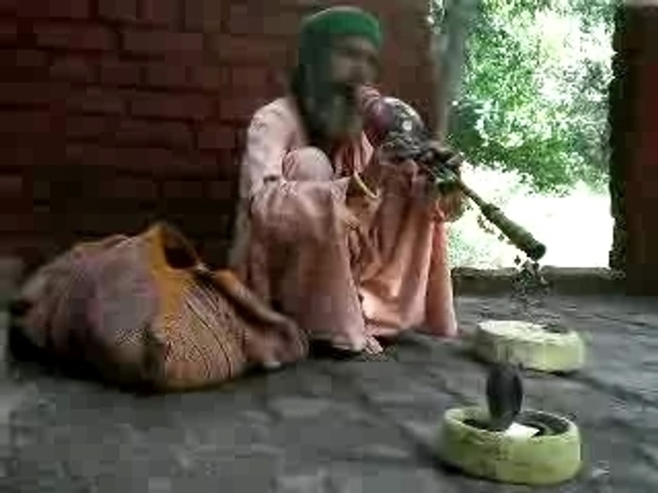 sadhu musicien rishikesh