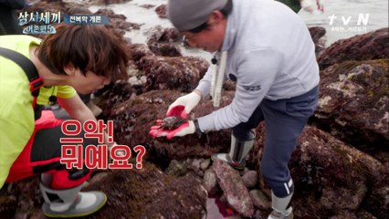 으악 뭐예요!! 광수 깜짝 놀라게 한 우리 군소 ft.유선생 차선생의 전복학 개론