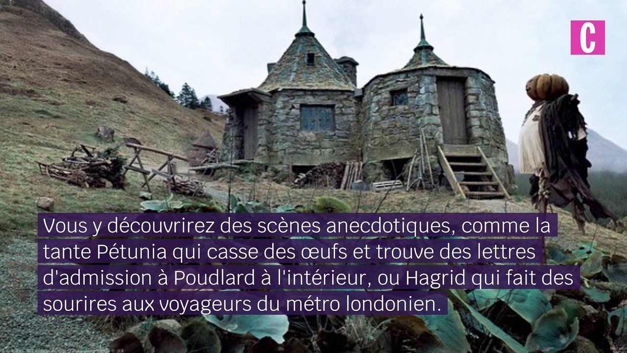 La vidéo intégrale avec toutes les scènes coupées d'Harry Potter