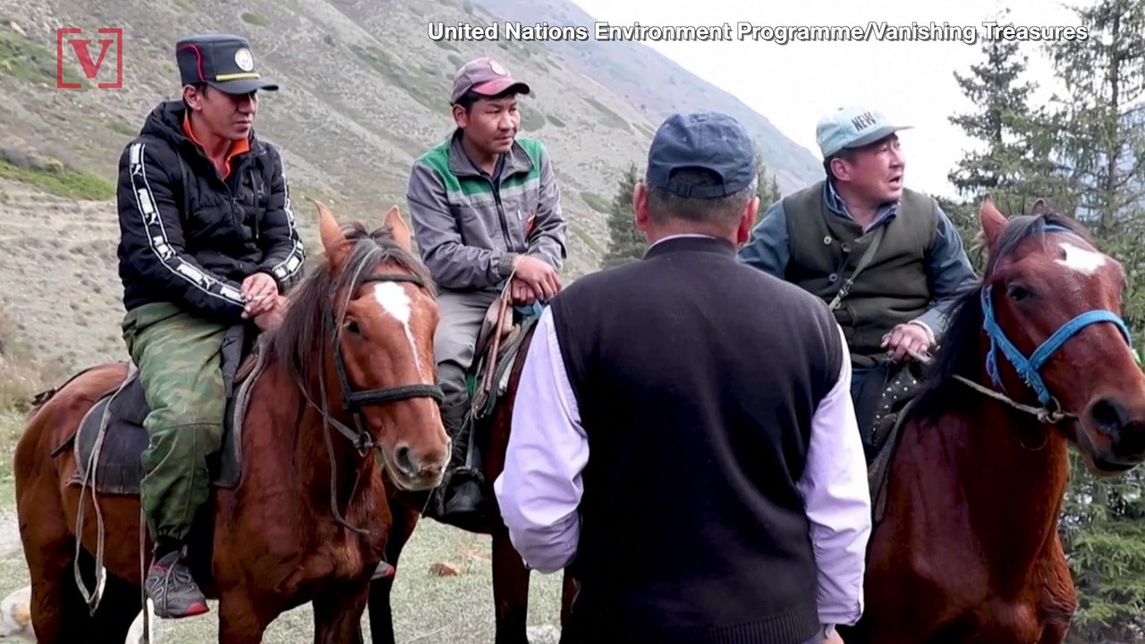 Environmental Group Released Video of Snow Leopard to Highlight Conflict Between Animals & Humans
