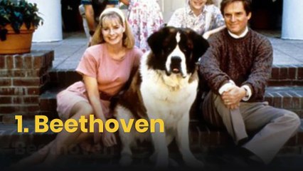 10 de los perros más famosos del cine y televisión