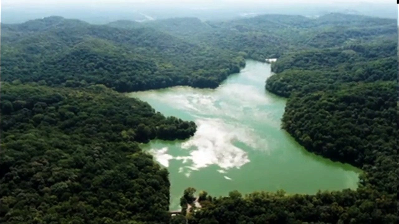 #sleep#relax#relaxingmusic#sleepmusic NEW Relaxing Music to Help you Sleep,Deep Sleep,Inner Peace.