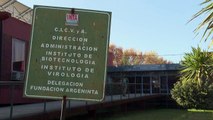 Las domadoras de virus argentinas que buscan en las llamas respuestas al covid-19