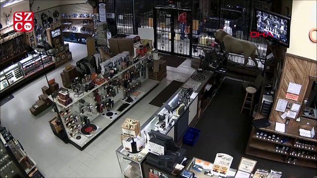 ABD'nin Houston eyaletinde silah mağazası protestocular tarafından yağmalandı